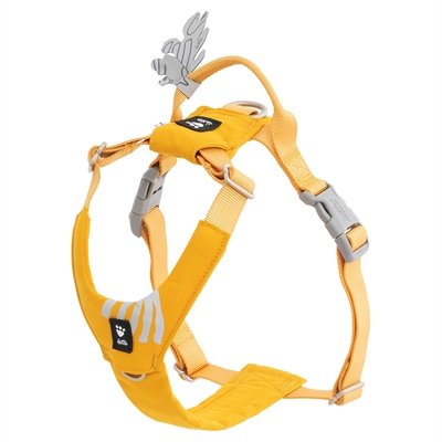 Hurtta Seeker Hundsele för små och mellanstora hundar Honey